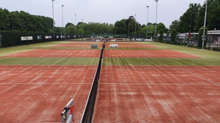 Tennisvereniging Steenbergen banner